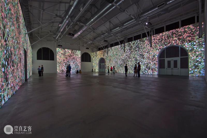 珍妮弗·施泰因坎普Jennifer Steinkamp 作品特别亮相第二届南京国际艺术节 博文精选 立木画廊LehmannMaupin 珍妮弗 施泰因坎普 南京 国际 作品 艺术节 画廊 艺术家 艺术季 场域 崇真艺客